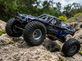 TWG Trail Crawler RC